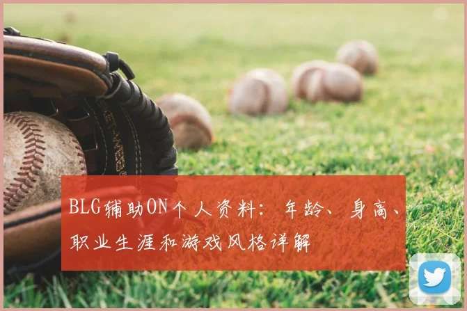 BLG辅助ON个人资料：年龄、身高、职业生涯和游戏风格详解