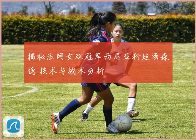 揭秘法网女双冠军西尼亚科娃汤森德 技术与战术分析